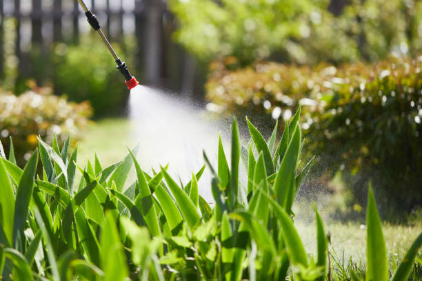 Tamper-Resistant Bait Stations for Rodents in Ainsworth
