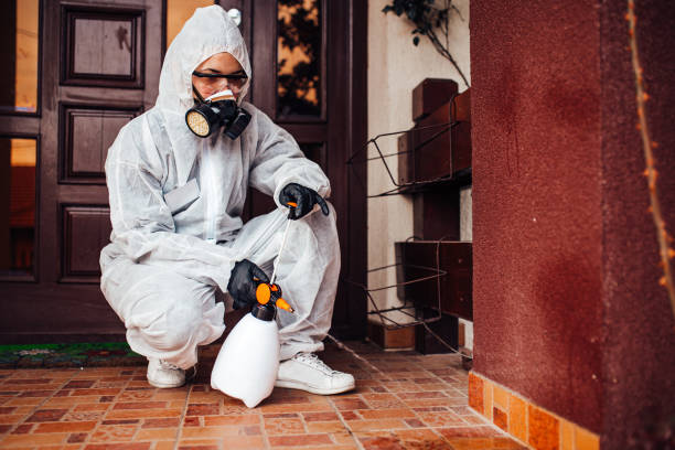 Attic and Crawl Space Rodent Treatment in Ainsworth