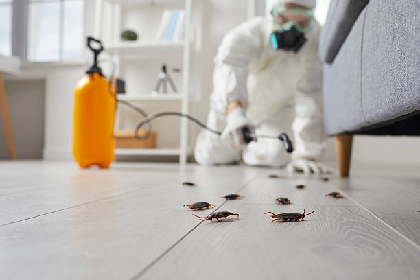 Commercial Rodent Management in Ainsworth